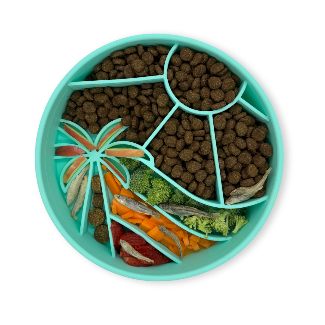 Happy Dingos - Loco Coco Interactive Slow Feeder Bowl : Sunset