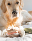 Lambwolf Collective - Bagel + Pickle//ENRICHMENT DOG TOY