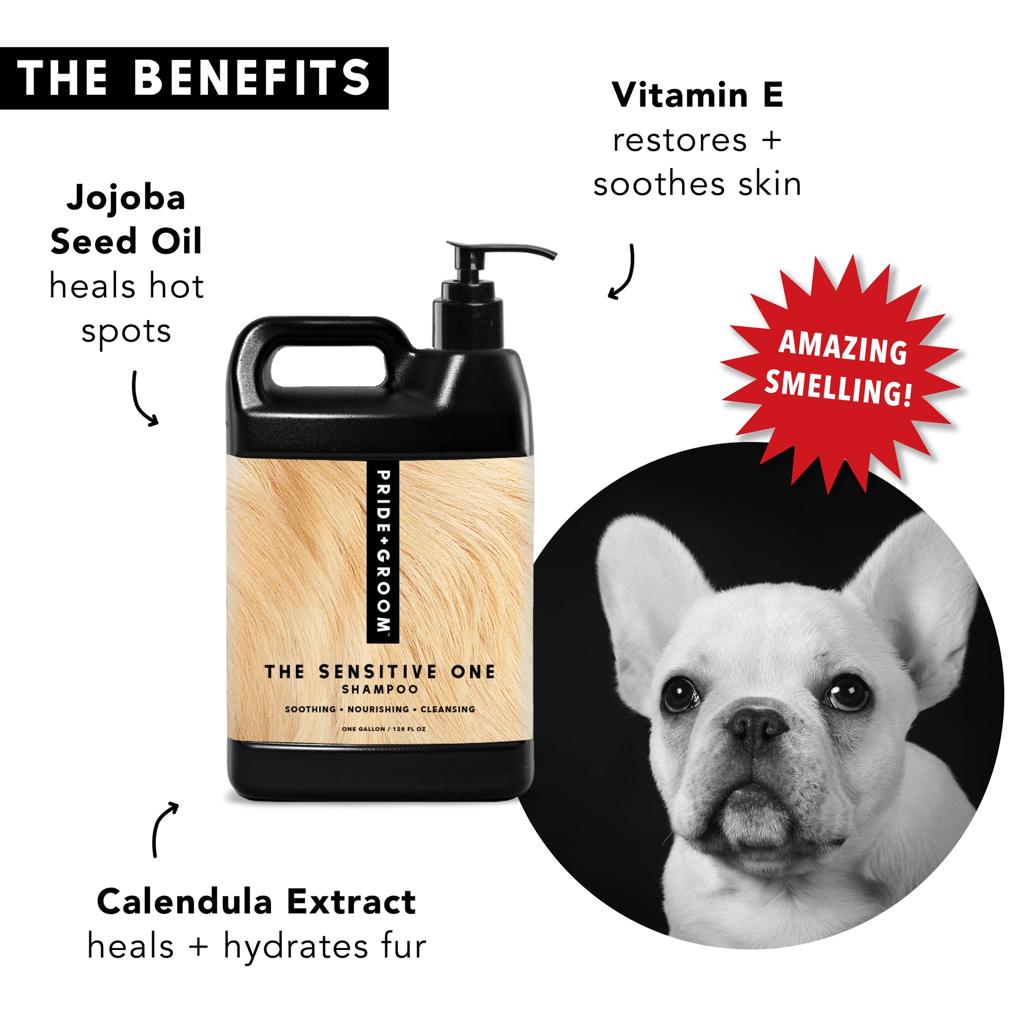 PRIDE+GROOM - THE SENSITIVE ONE | SHAMPOO FOR SENSITIVE COATS + PUPPIES: Medium