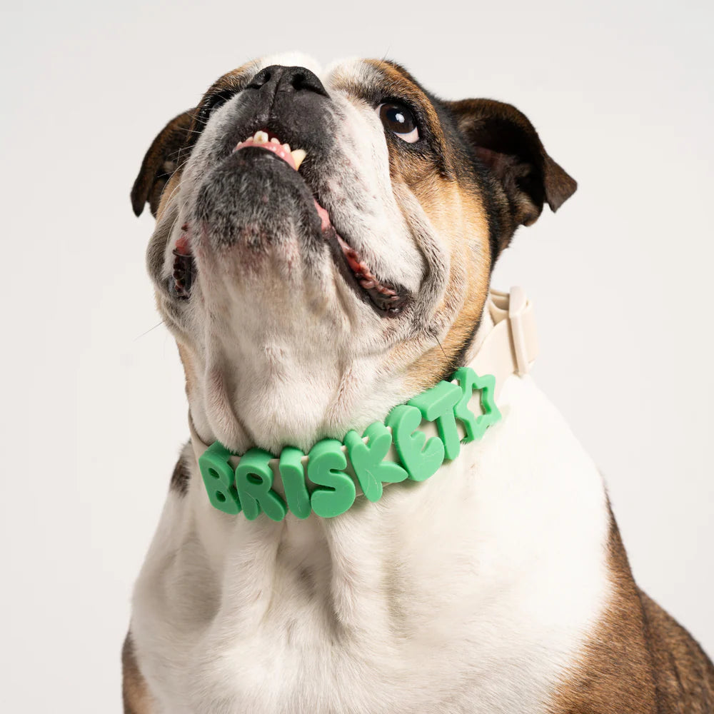 Springland Silicone Dog Charms | Letters &amp; Symbols for Personalized Dog Collars and Leashes