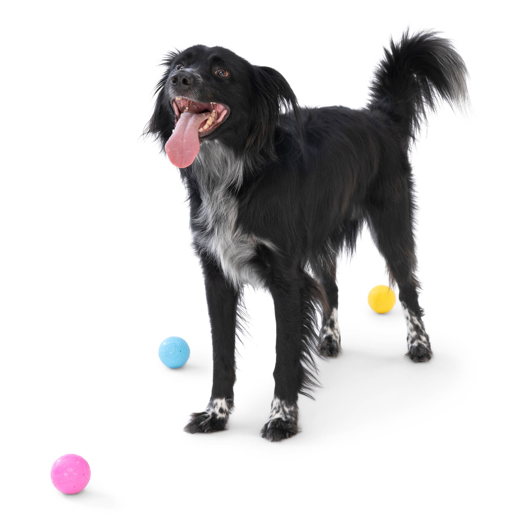 West Paw - Boundr® 2-Pack Dog Toy Ball for Play, Chew, and Fetch: Glow