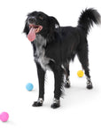 West Paw - Boundr® 2-Pack Dog Toy Ball for Play, Chew, and Fetch: Glow