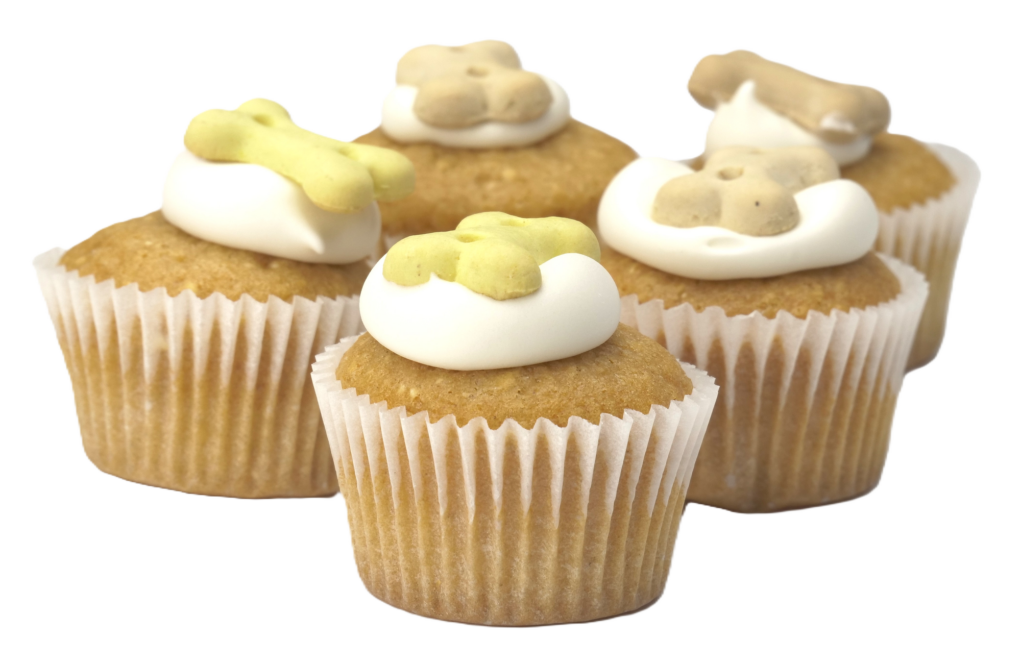 Wagging Dog Bakery - Puppin Cupcake Dog Treats