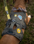Scout's Honour Pty Ltd - Happiest Camper iron-on patch for dogs and cats
