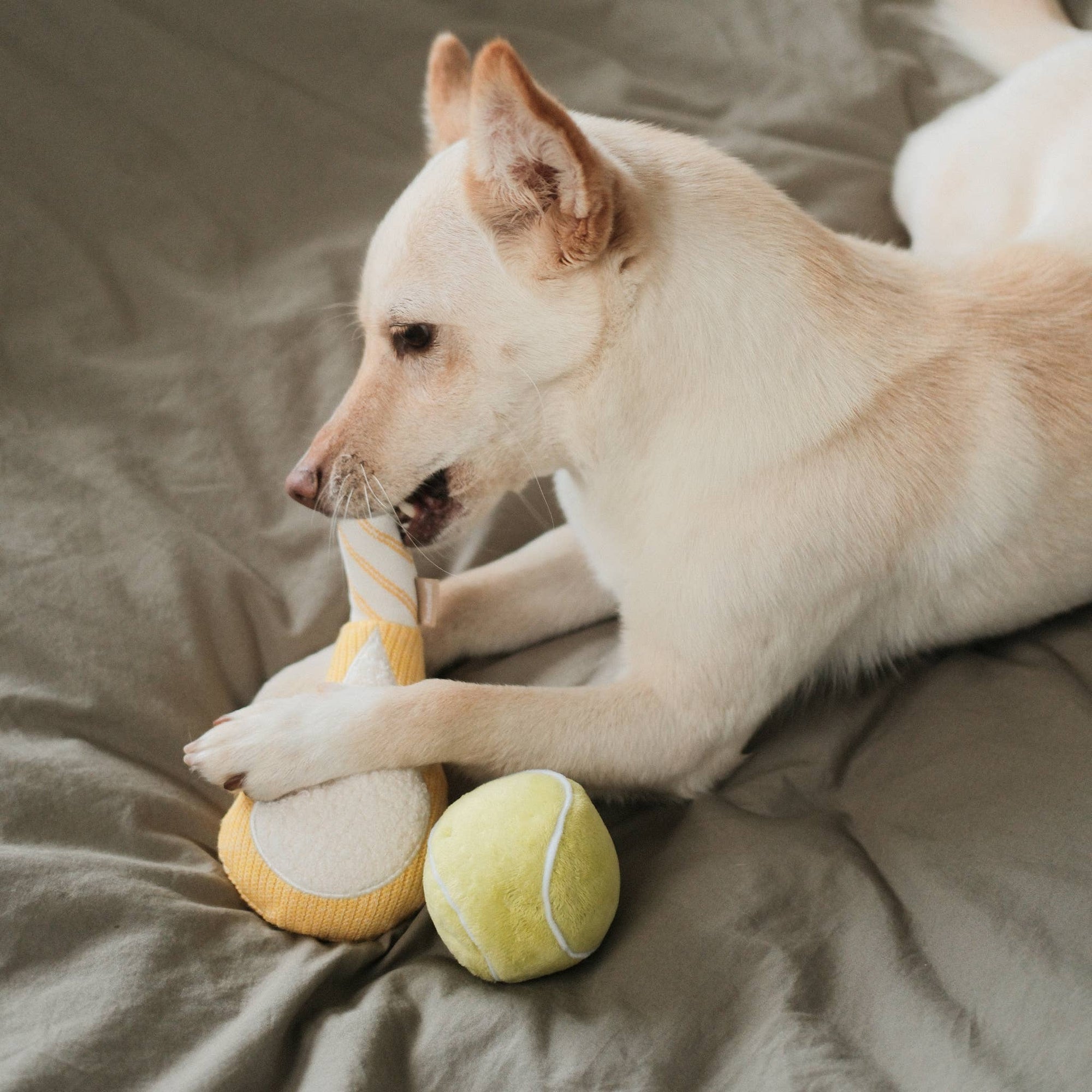 Lambwolf Collective - TENNIS POP // ENRICHMENT DOG TOY // Squeaky Ball Set