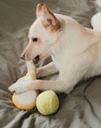 Lambwolf Collective - TENNIS POP // ENRICHMENT DOG TOY // Squeaky Ball Set