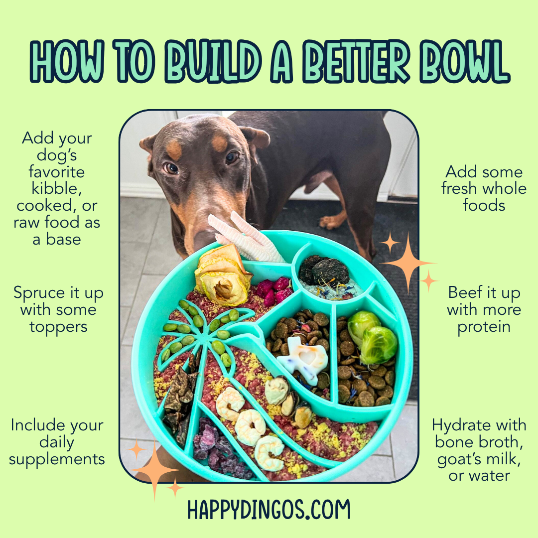 Happy Dingos - Loco Coco Interactive Slow Feeder Bowl : Sunset