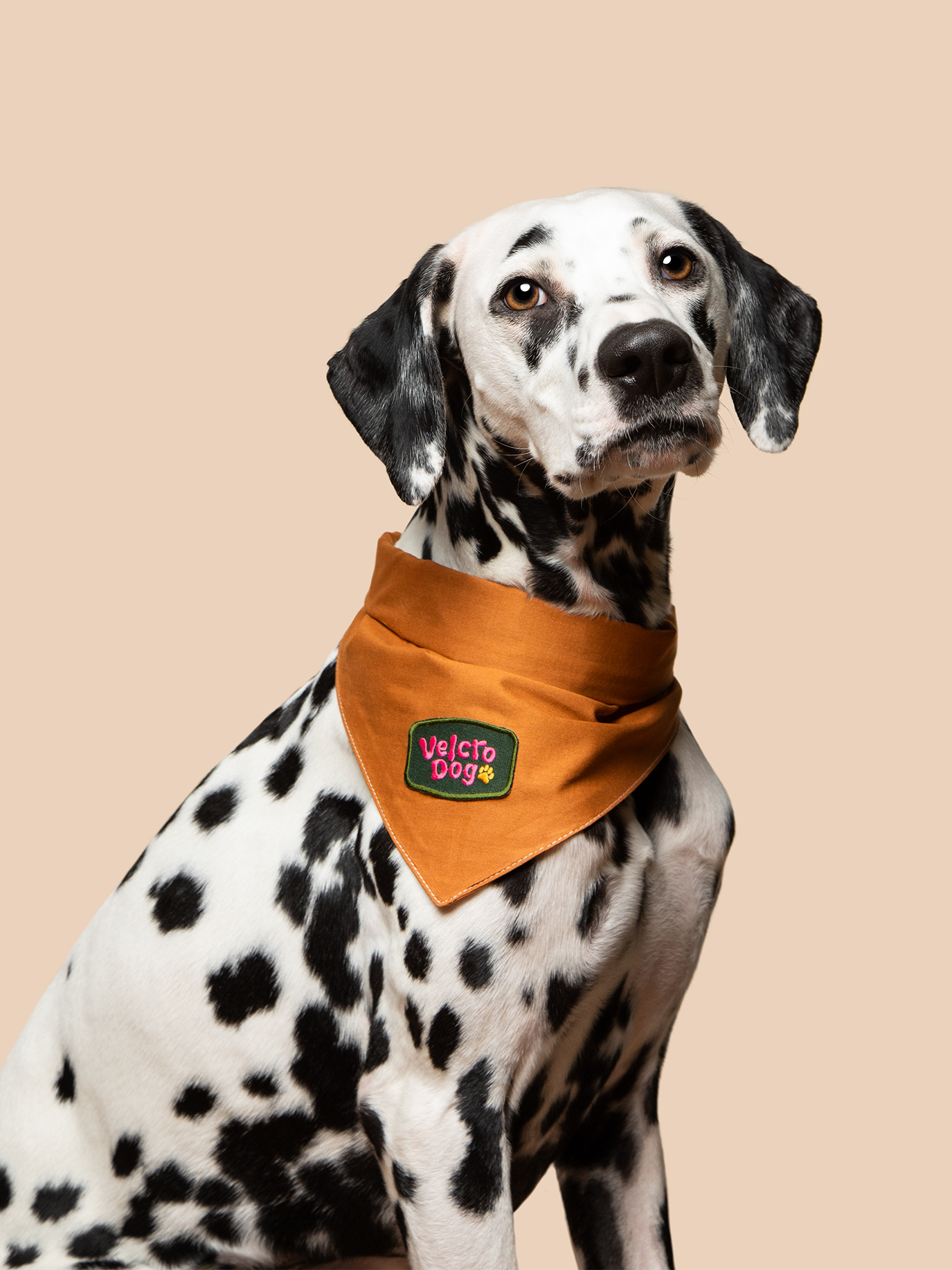 Scout's Honour Pty Ltd - Velcro Dog iron-on patch for dogs and cats