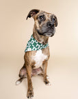 The Paws - Spruce Dog Bandana