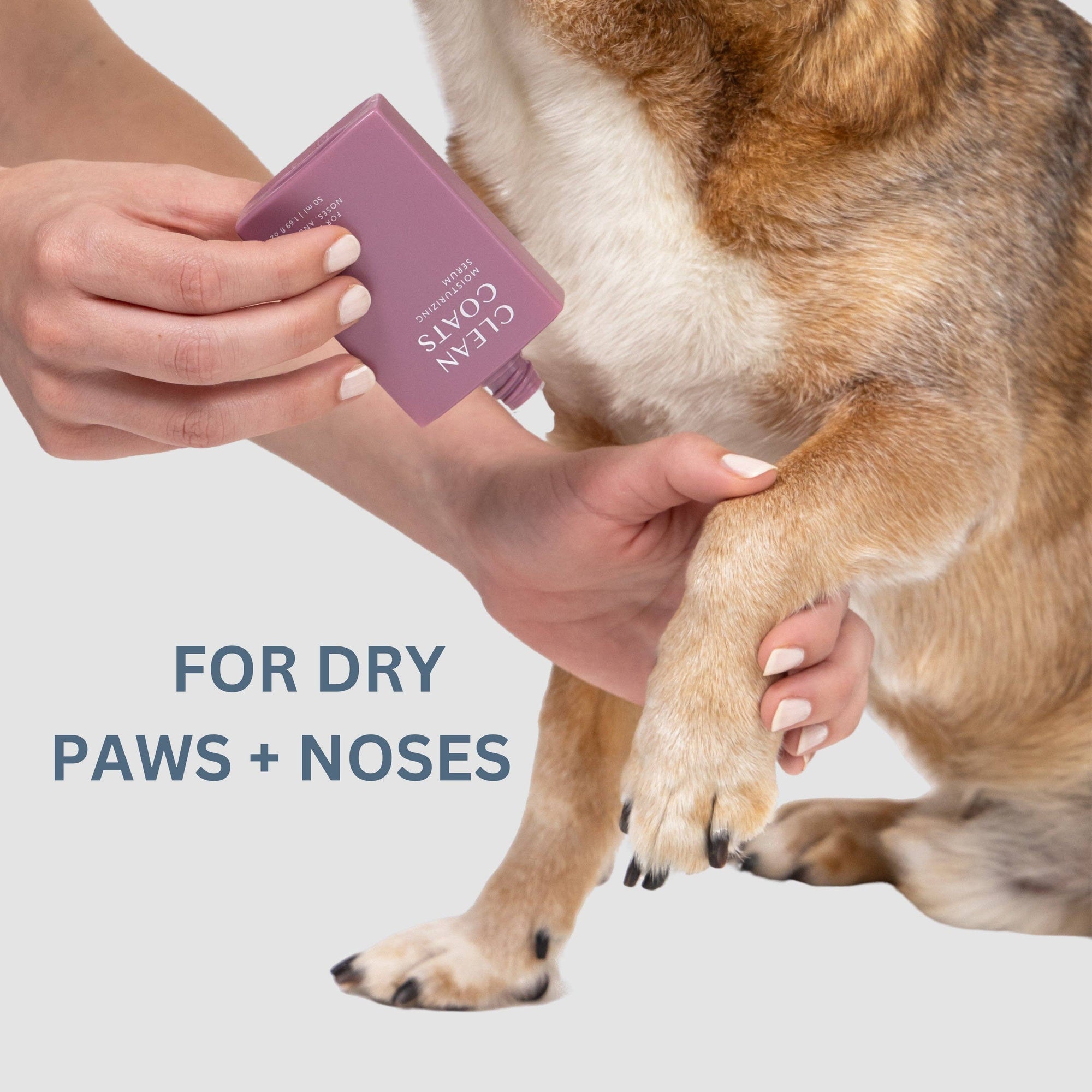 Clean Coats - Dog Moisturizing Serum for Paws &amp; Noses - Fast Absorbing