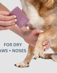 Clean Coats - Dog Moisturizing Serum for Paws & Noses - Fast Absorbing