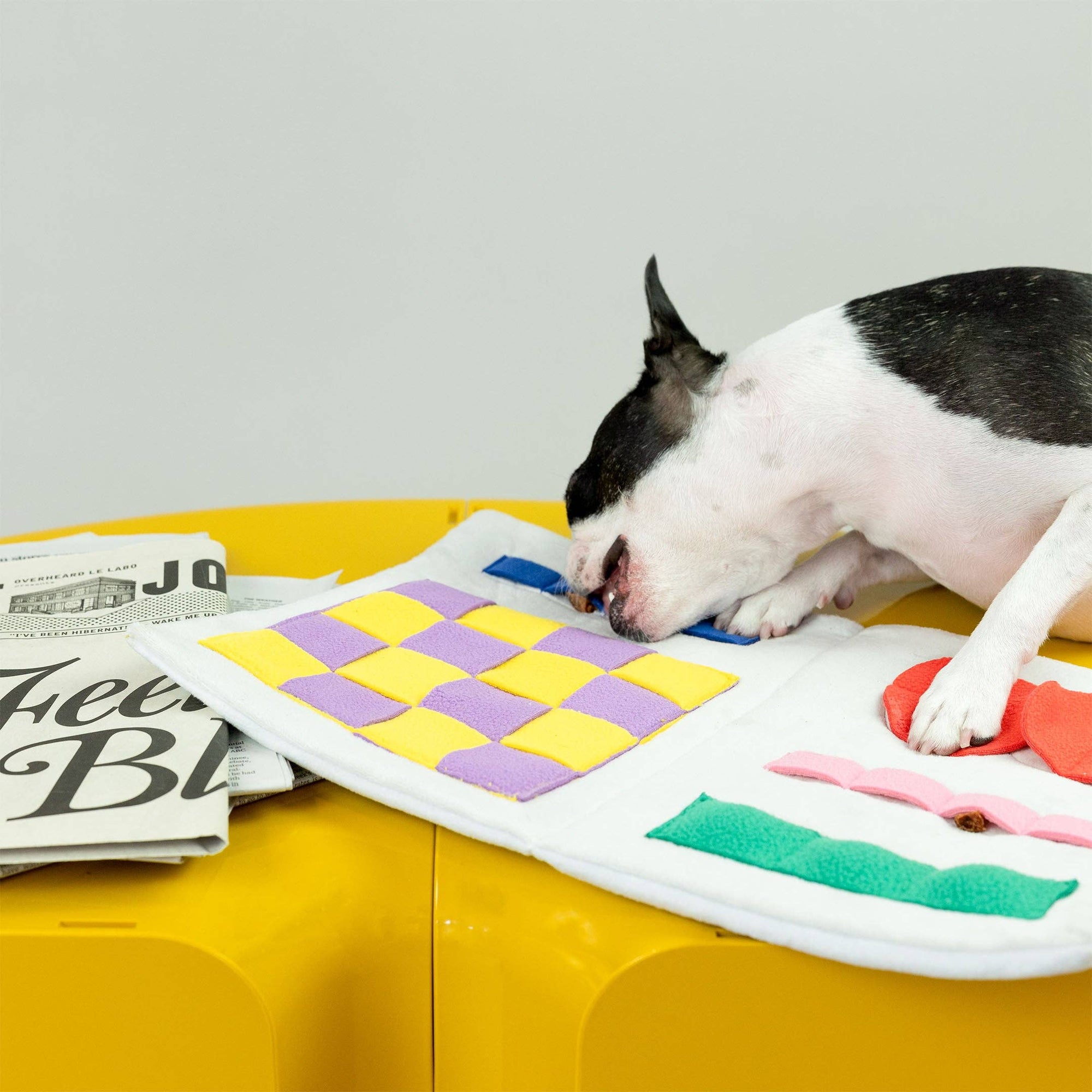 the furryfolks - Newspaper Nosework Toy