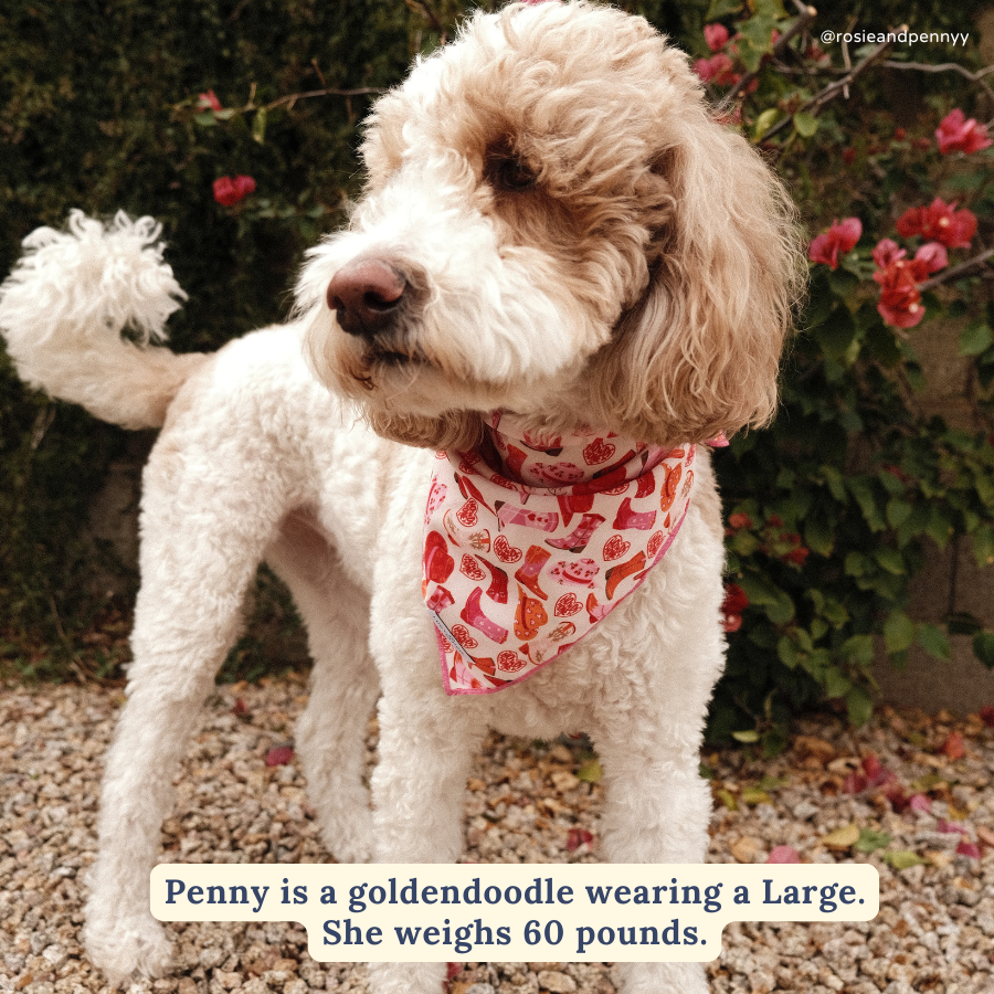 Lucy &amp; Co. - Howdy, Honey Bandana