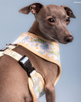 Lucy & Co. - Sunshine and Daffodils Reversible Harness