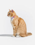 Wild One - Breakaway Cat Collar: XS • Kitten / Retro