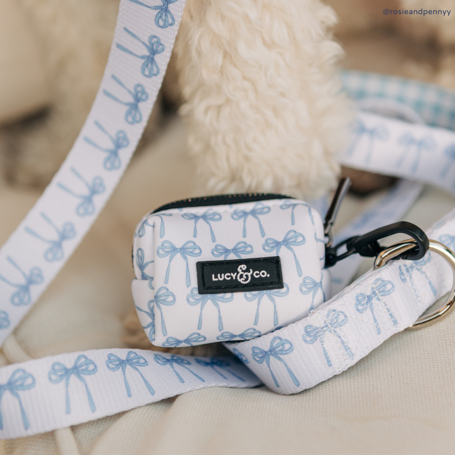 Lucy &amp; Co. - Bowwow Wow! Leash: L