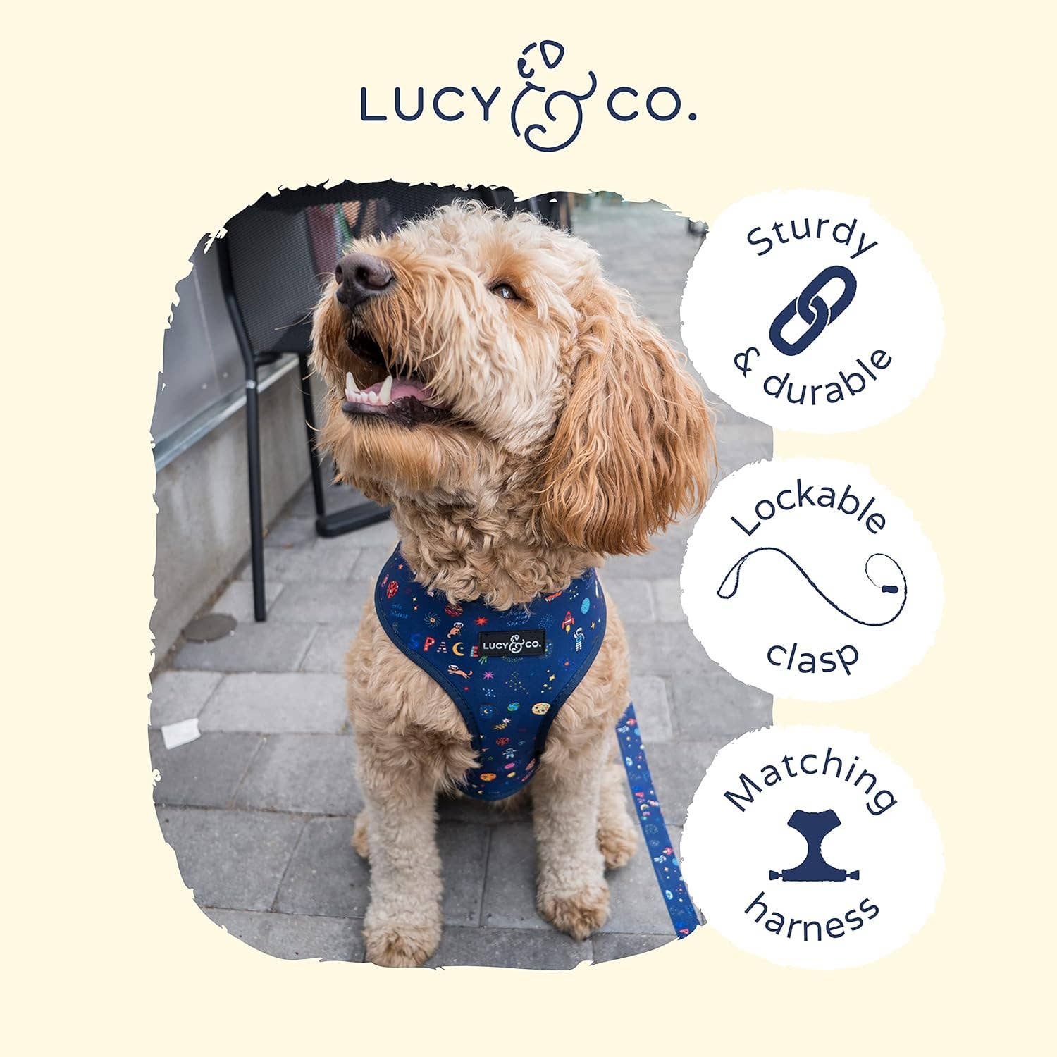 Lucy &amp; Co. - Space Doodle Leash: Large