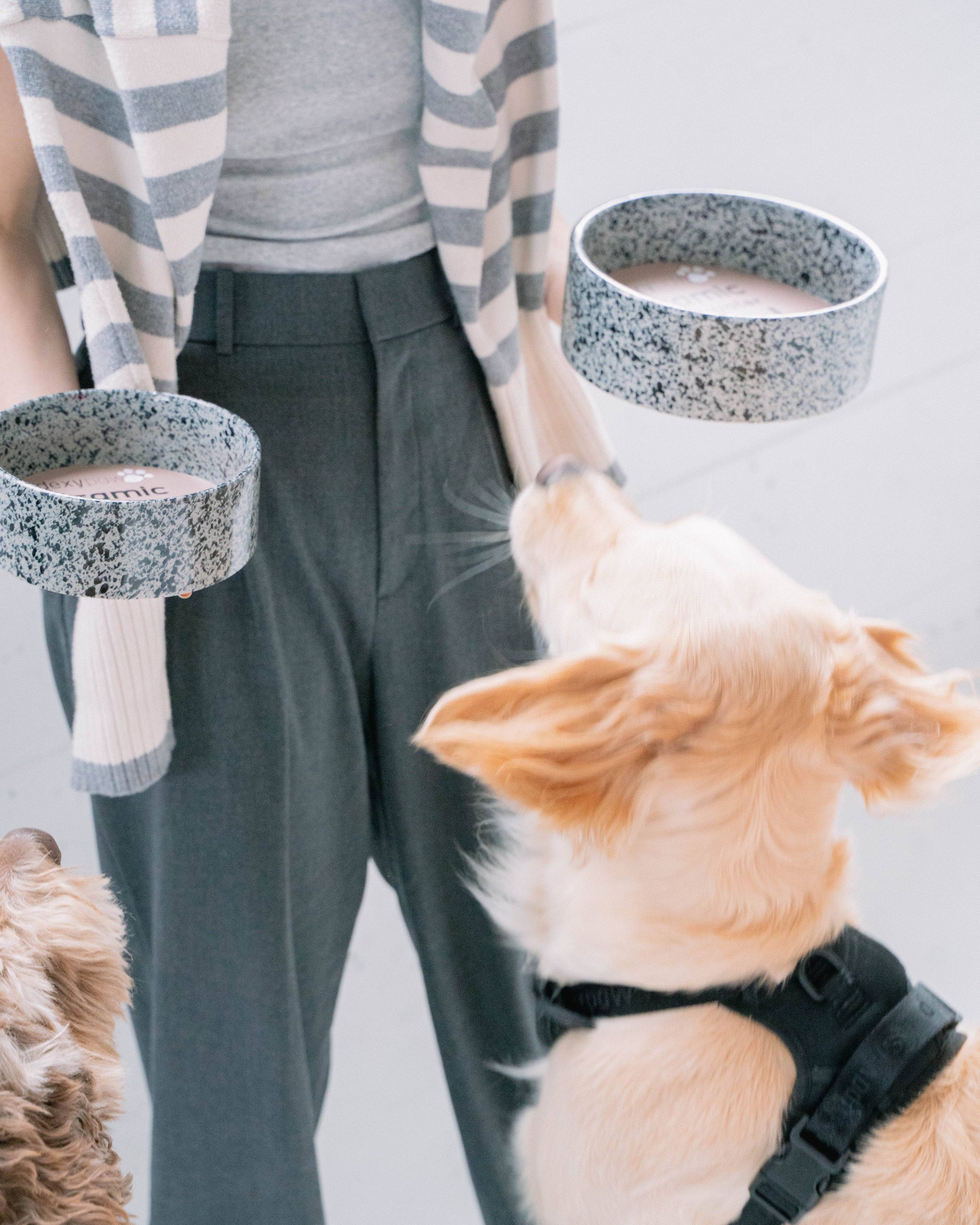 dexypaws - Salt &amp; Pepper Ceramic Dog Bowl: 6.3 Inches