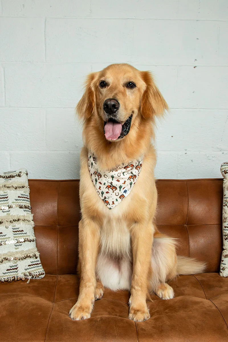 Dog Bandana Co. Rodeo Reversible Dog Bandana