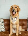 Dog Bandana Co. Rodeo Reversible Dog Bandana