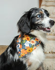 Dog Bandana Co. Fall Crochet Reversible Dog Bandana