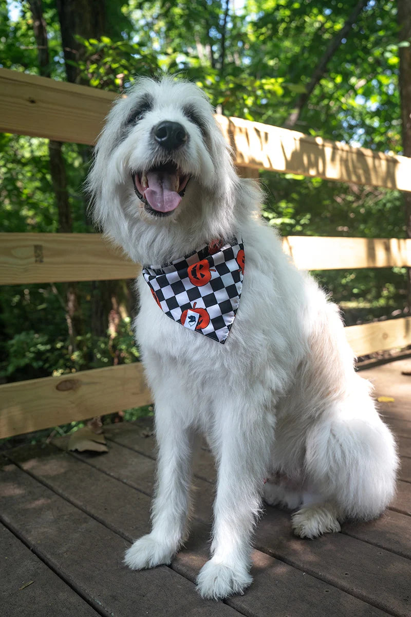 Dog Bandana Co. Halloween Plaid Reversible Dog Bandana