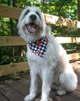 Dog Bandana Co. Halloween Plaid Reversible Dog Bandana