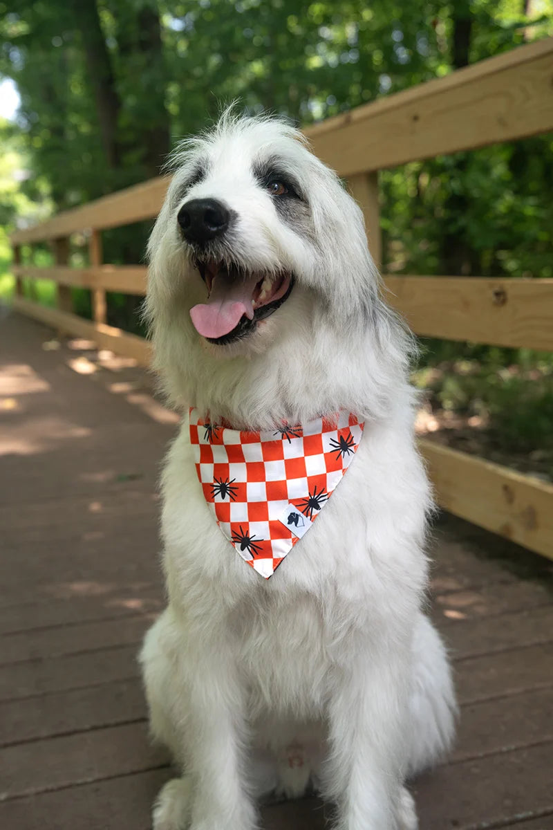Dog Bandana Co. Halloween Plaid Reversible Dog Bandana