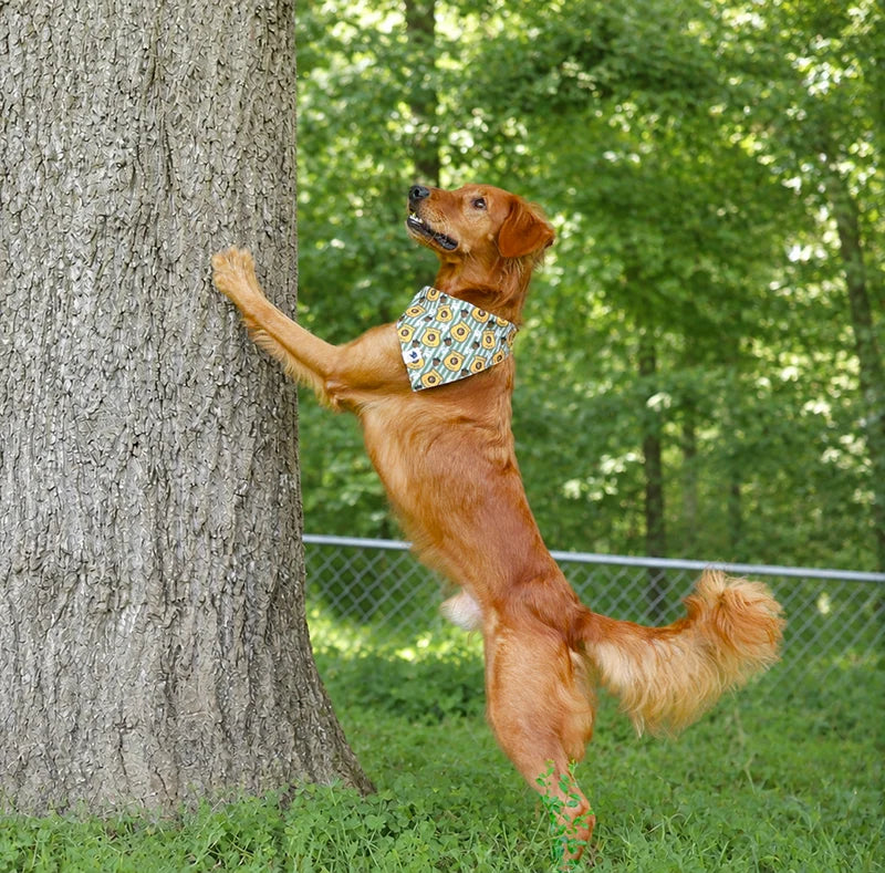 Dog Bandana Co. Squirrel Patrol &amp; Pup Cup Reversible Dog Bandana