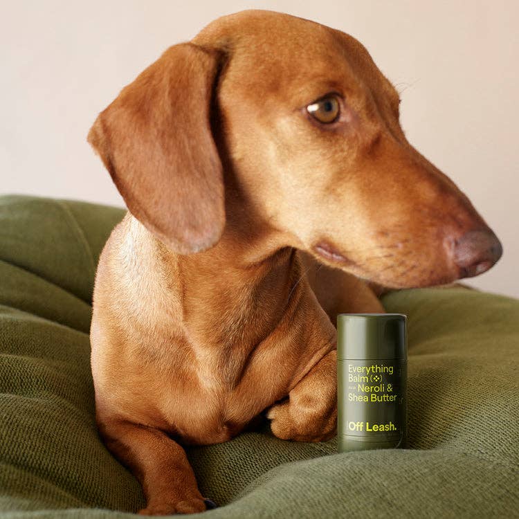 Always Off Leash - Everything Balm