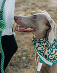 Lucy & Co. - Lucy & Co. x Parks Project Geyser Bandana