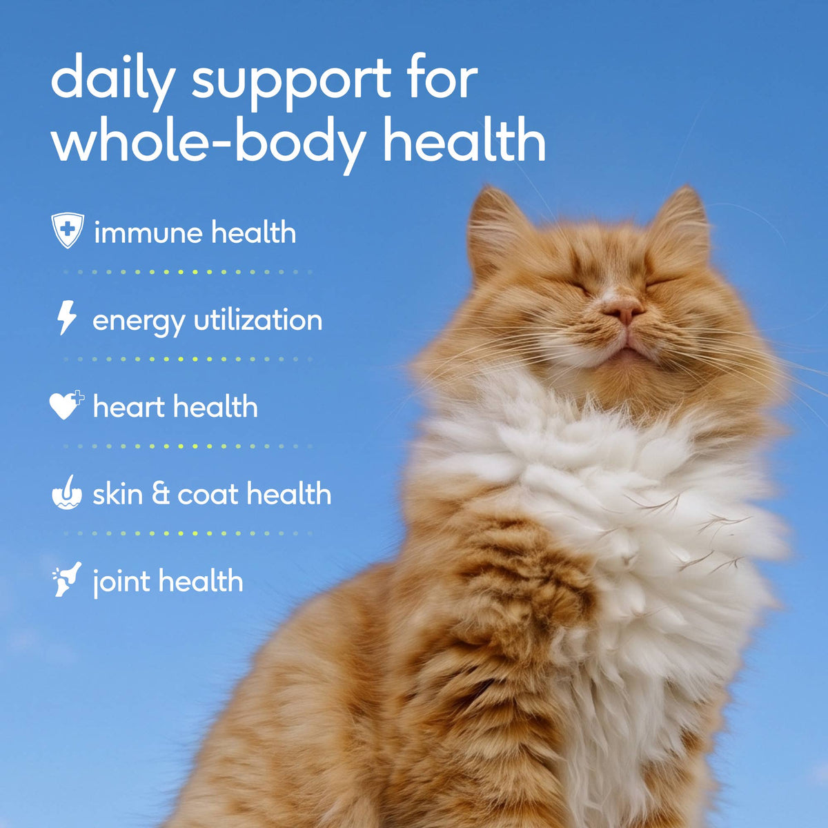 Native Pet - Multivitamin Pillow Chews Complete Wellness Support for Cats