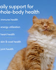 Native Pet - Multivitamin Pillow Chews Complete Wellness Support for Cats