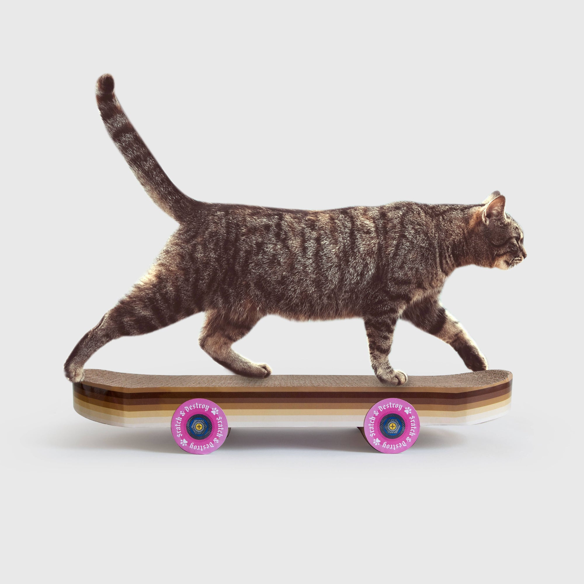 SUCK UK Ltd - USA - Cat Toy Scratch Skateboard - Cool carboard cat scratcher