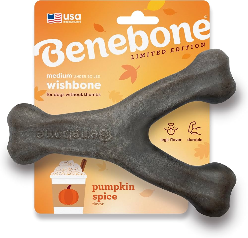 Benebone Wishbone - Pumpkin Spice