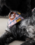 Scout's Honour Pty Ltd - Tricks for Treats iron-on patch for dogs and cats