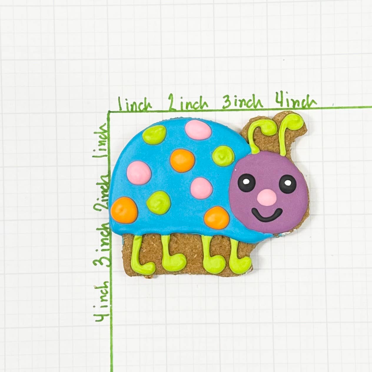 Lucky Biscuit Pet Bakery - Colorburst Spring Bloom Collection: Cosmic Otter