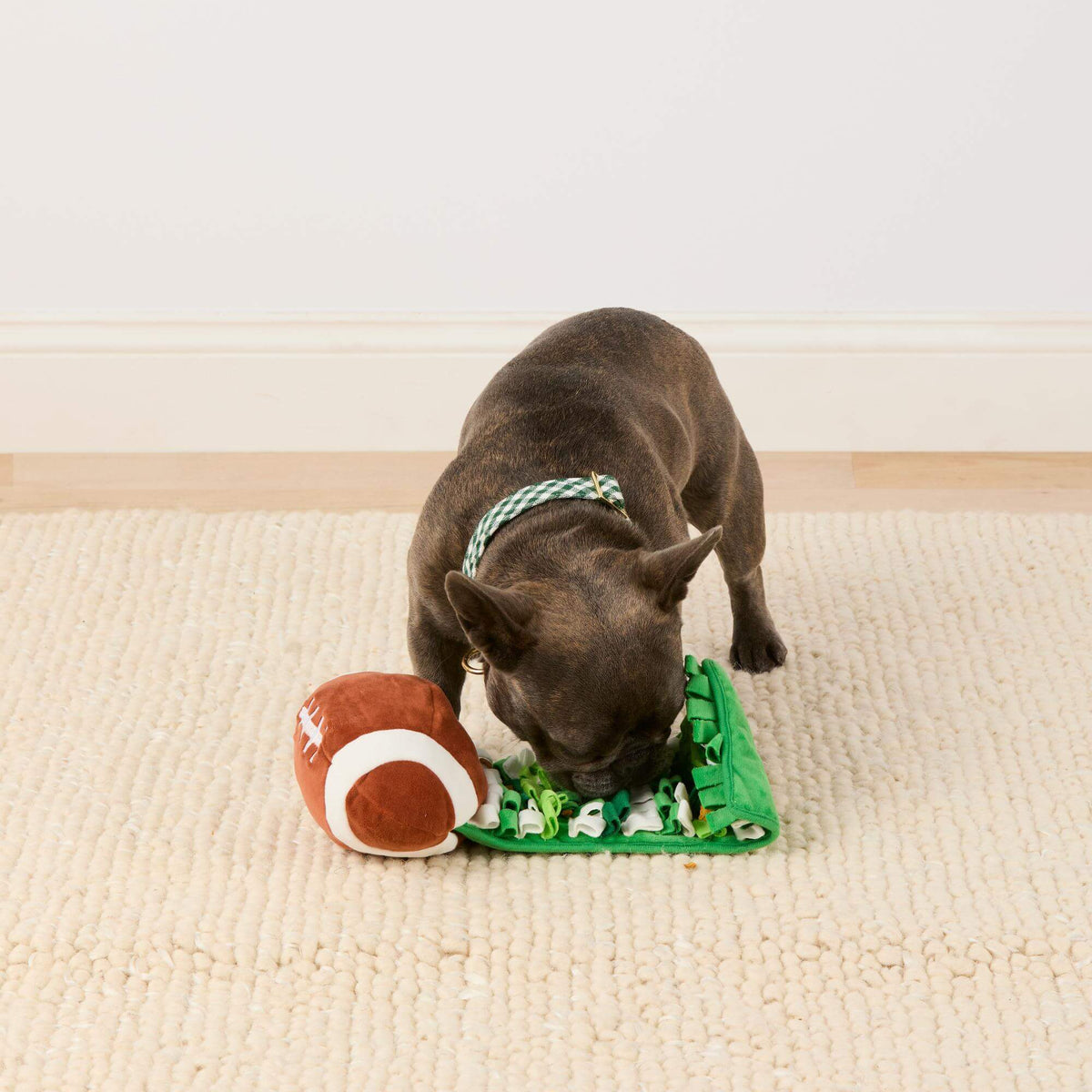 The Foggy Dog - Football Interactive Snuffle Dog Toy