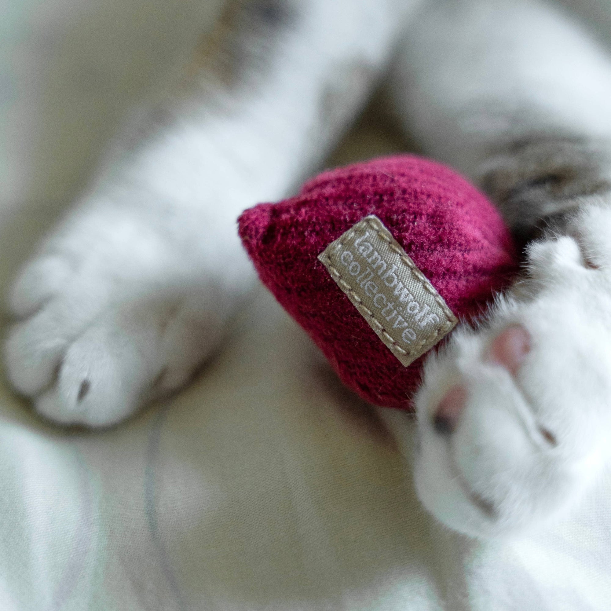 Lambwolf Collective - RADISH//CAT TOY: S/ CREAM