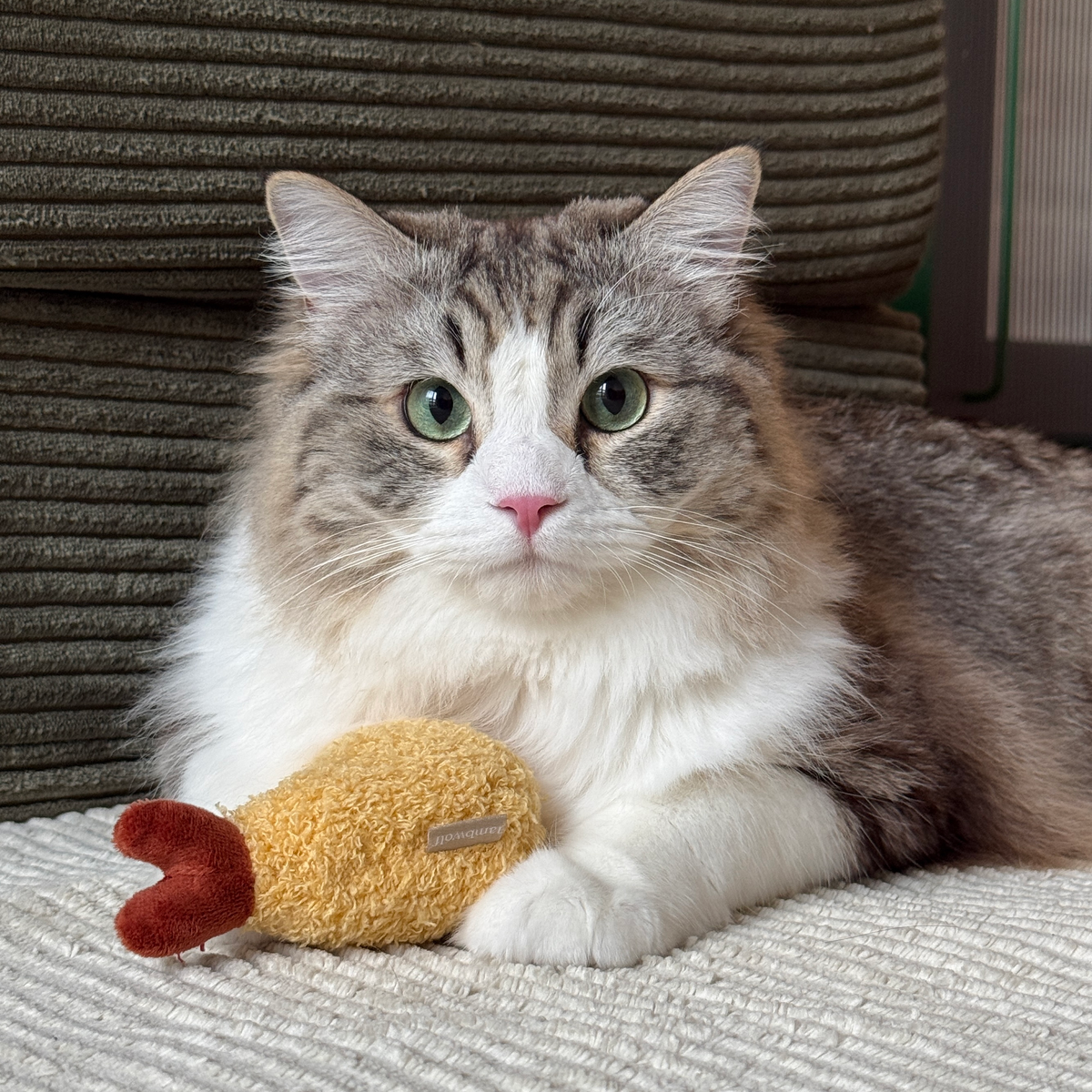 Lambwolf Collective - KITTY TEMPURA: Default Title
