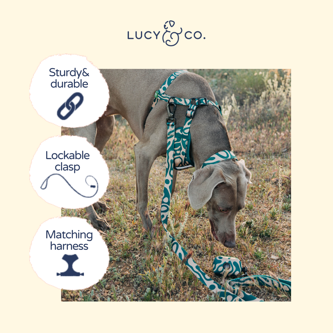 Lucy &amp; Co. - Lucy &amp; Co. x Parks Project Geyser Leash