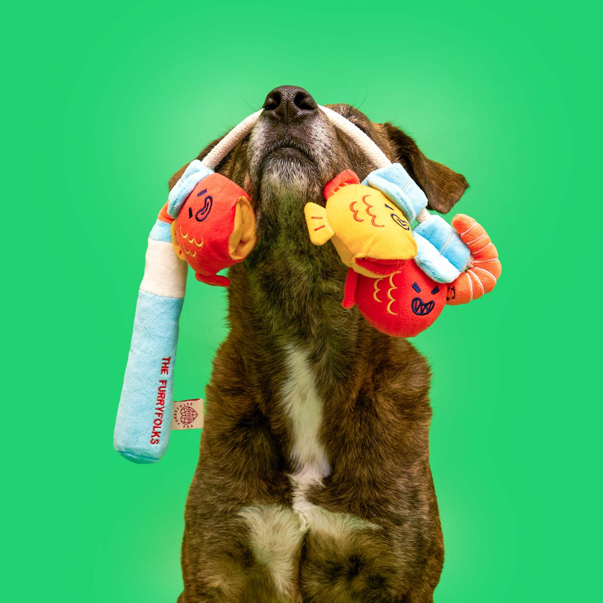 the furryfolks - Fishing Nosework &amp; Tug Toy
