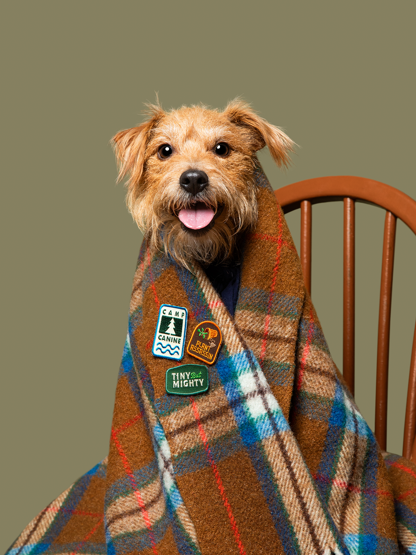 Scout's Honour Pty Ltd - Plant Assassin iron-on patch for pets