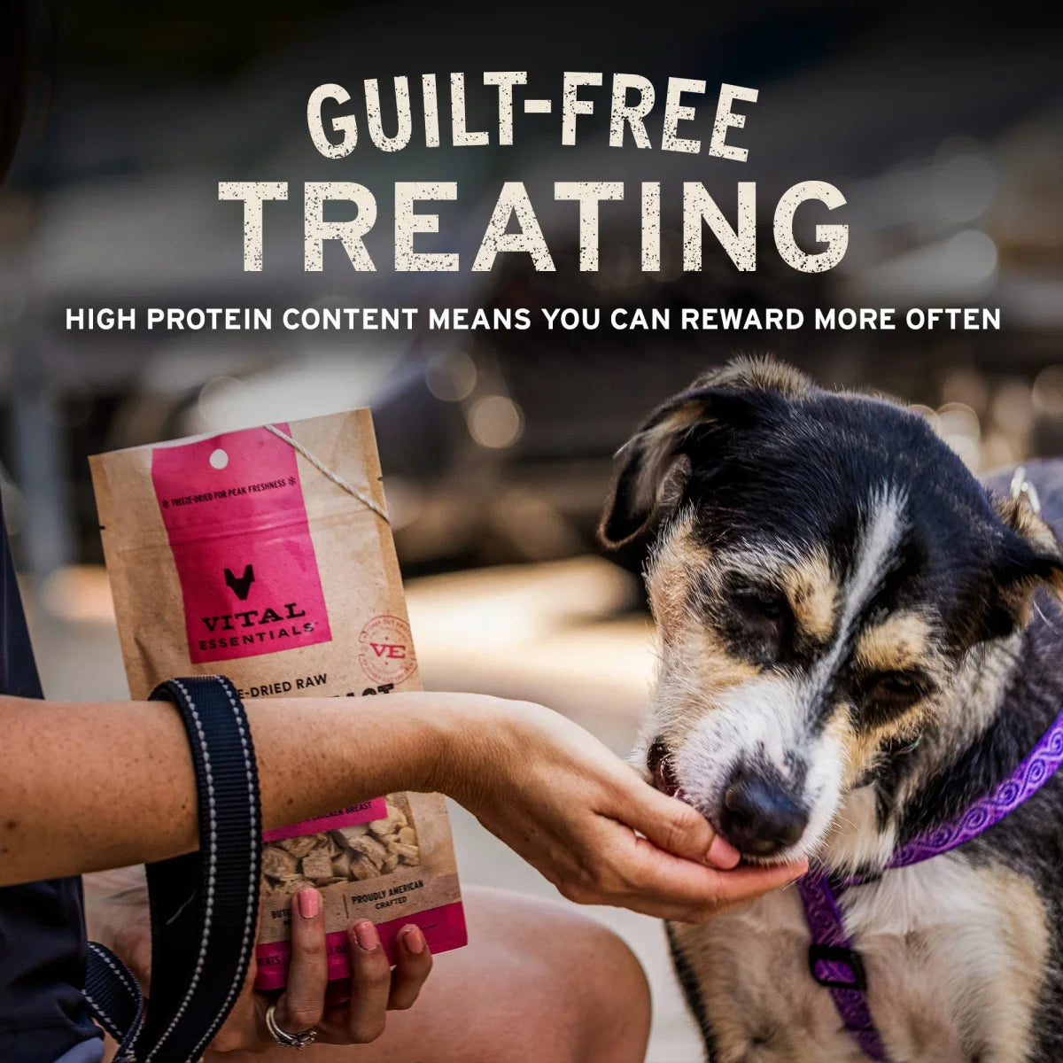 Vital Essentials Freeze-Dried Turkey Giblets