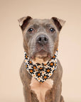 The Paws - Pumpkin Petals Halloween Dog Bandana