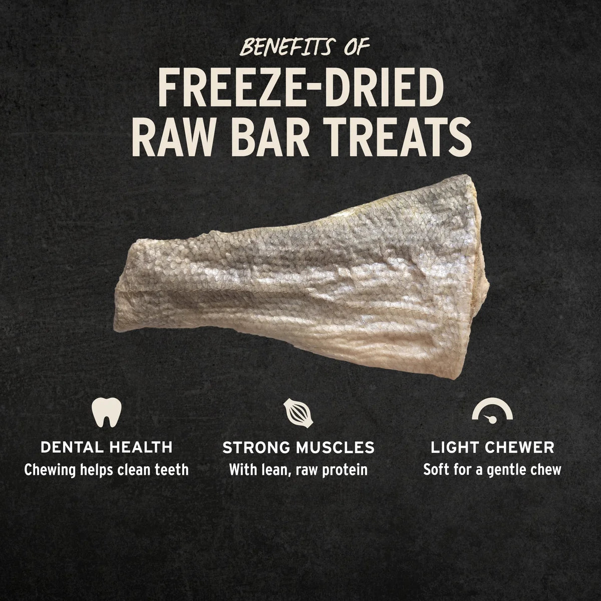 Vital Essentials Raw Bar - Freeze Dried Silver Carp Filet