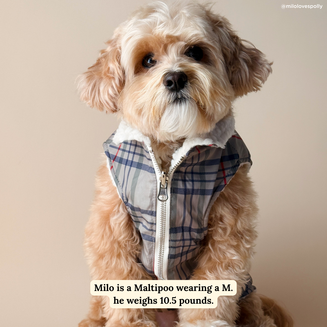 Lucy &amp; Co. - Mad for Plaid Reversible Teddy Vest