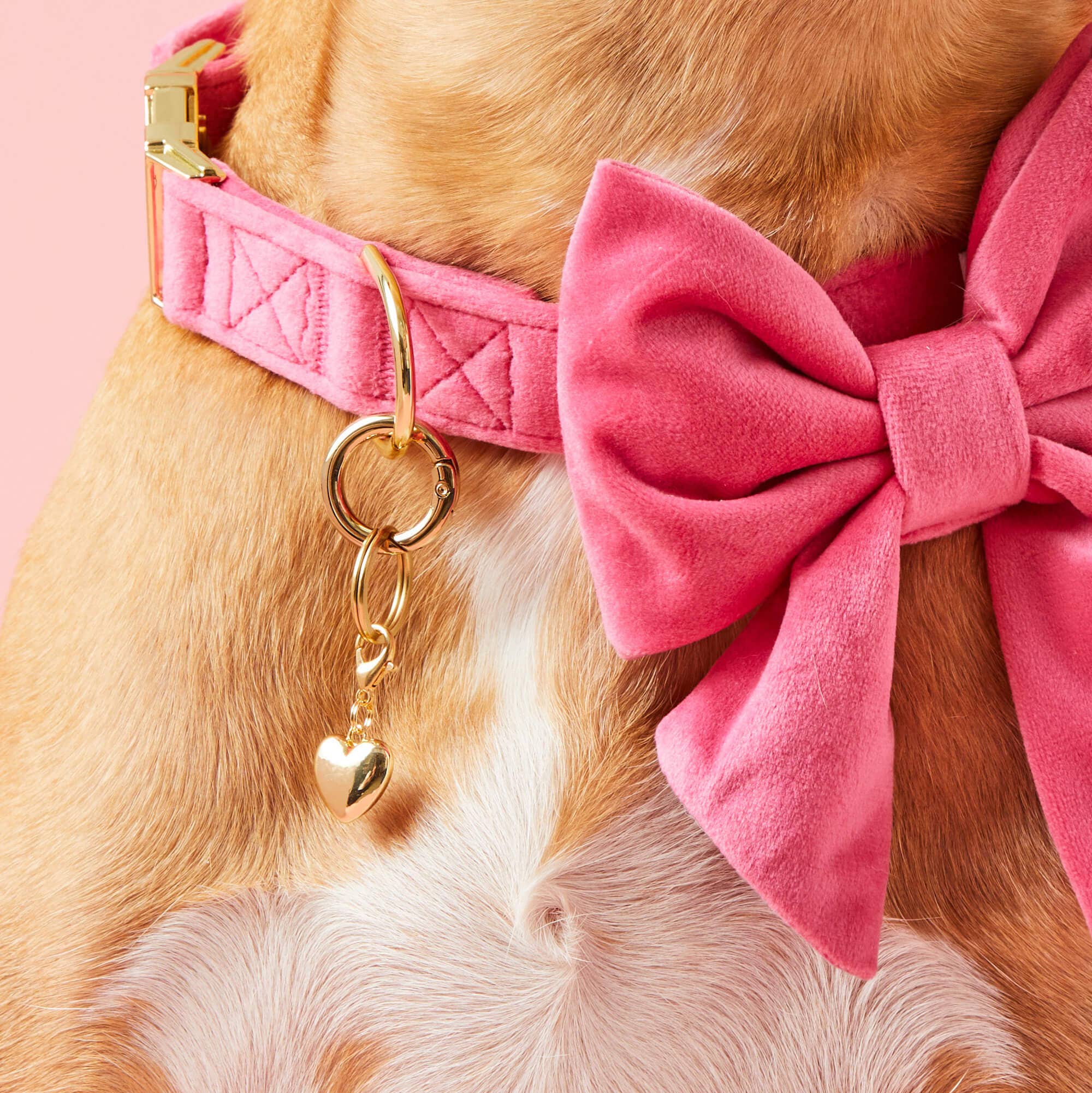 The Foggy Dog - Heart of Gold Collar Charm: Charm Only
