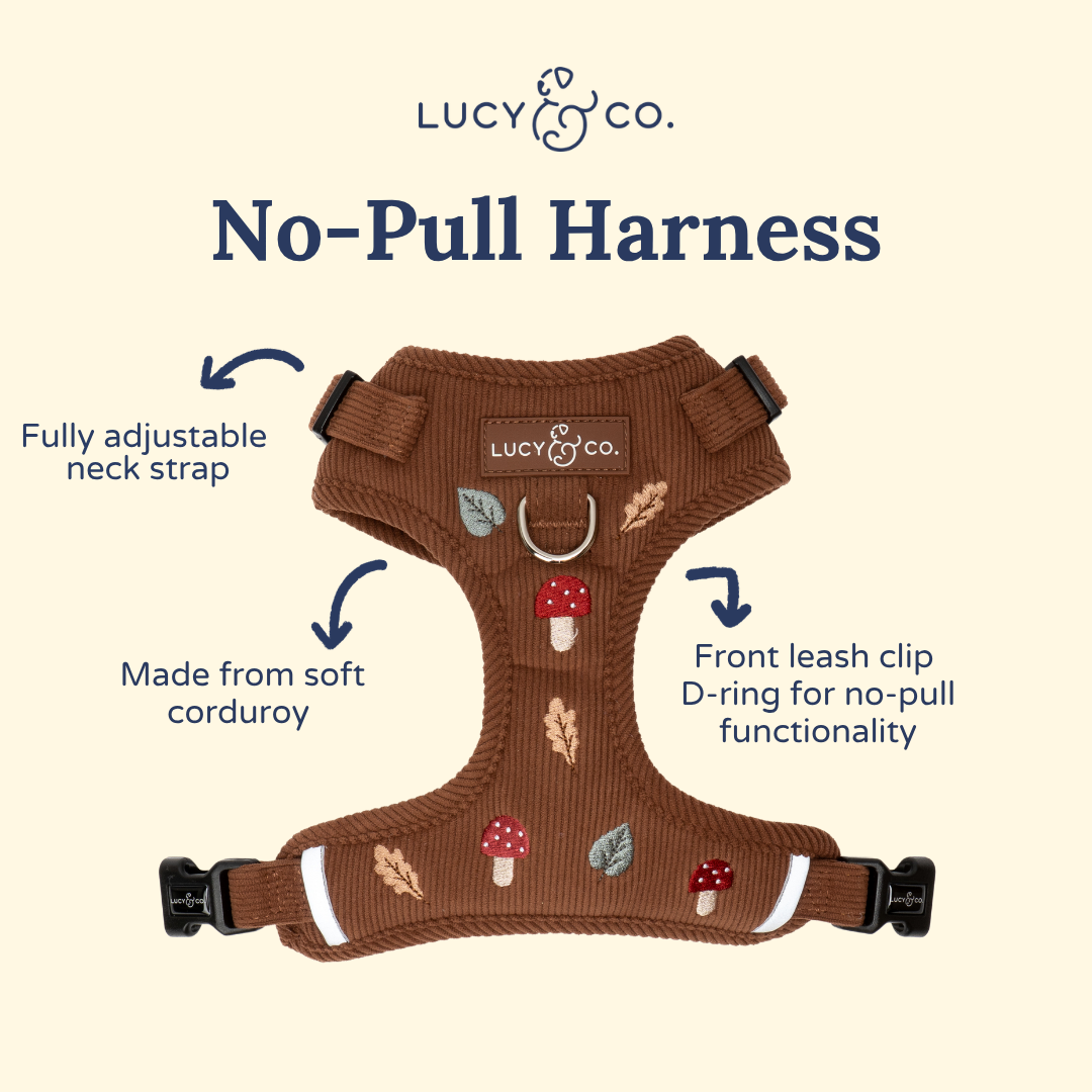 Lucy &amp; Co. - Woodland Wonder Corduroy No-Pull Harness