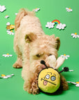 the furryfolks - Bee Happy Nosework Toy